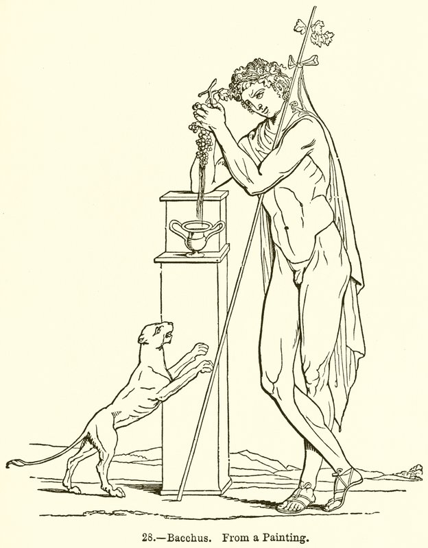 Bacchus tekijältä English School
