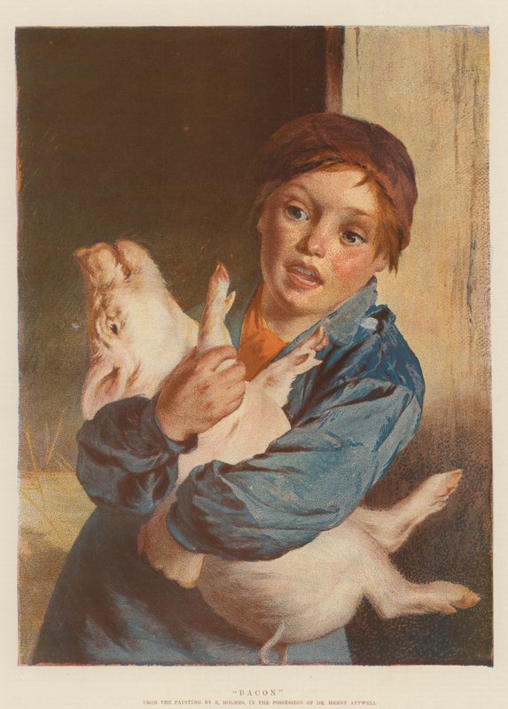 Pekoni (chromolitho) tekijältä English School
