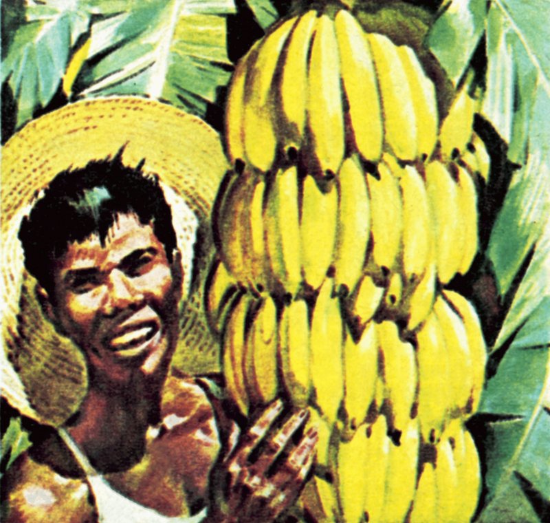 Banaanit tekijältä English School