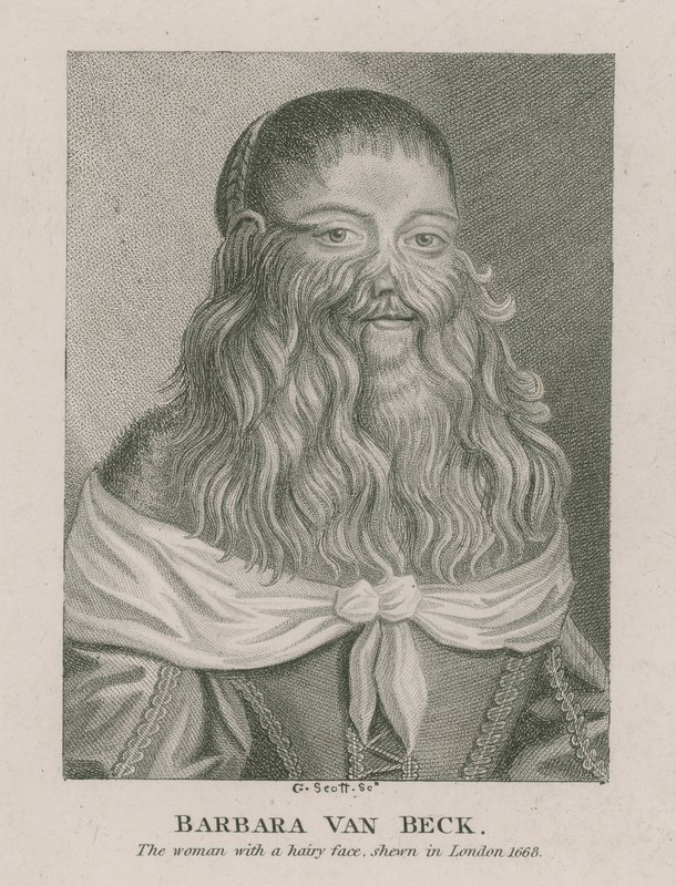 Barbara Van Beck, nainen, jolla on karvainen kasvo, esitetty Lontoossa, 1668 tekijältä English School