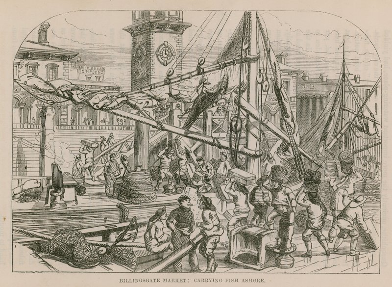 Billingsgate Market, Kalojen kuljettaminen maihin tekijältä English School