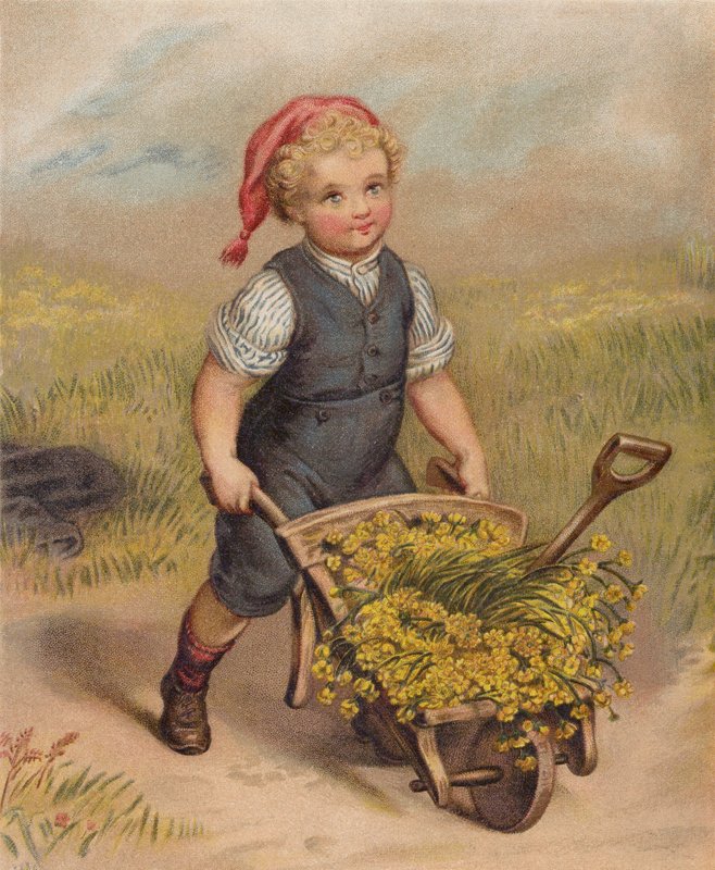 Poika työntää kottikärryä täynnä kukkia (chromolitho) tekijältä English School