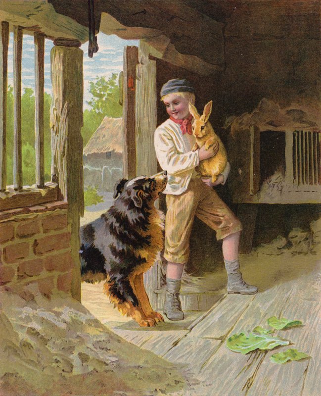 Poika koiran ja kanin kanssa maatilalla (chromolitho) tekijältä English School