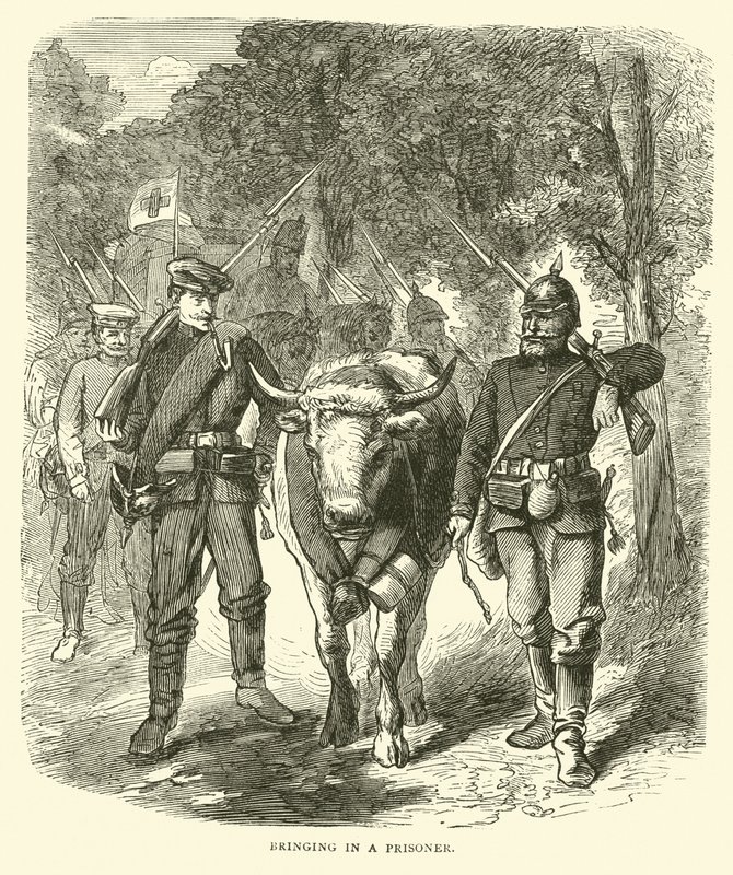 Vangin tuominen, syyskuu 1870 tekijältä English School