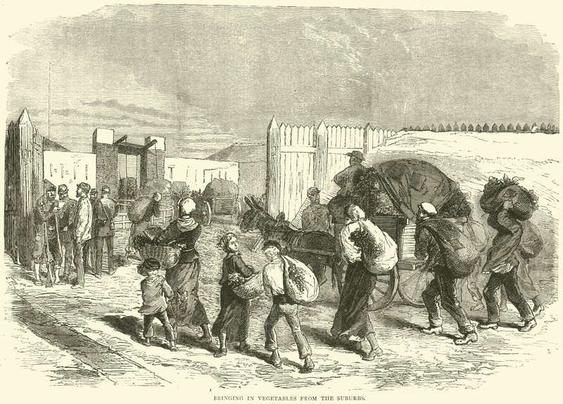 Vihannesten tuominen lähiöistä, lokakuu 1870 tekijältä English School