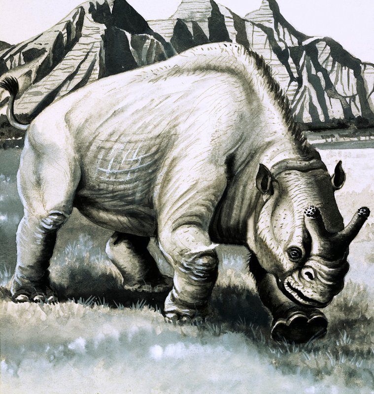 Brontotherium oligoseenikaudelta tekijältä English School