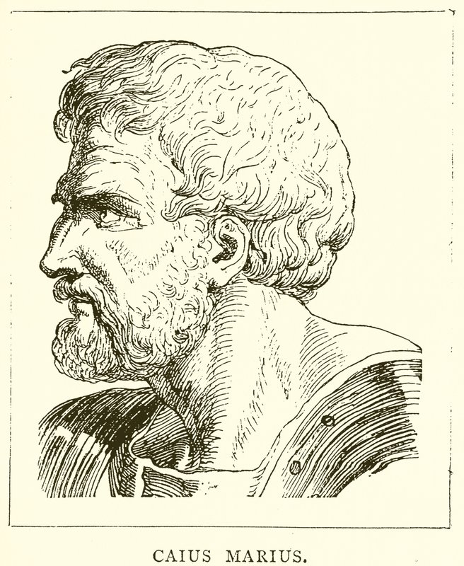 Caius Marius tekijältä English School