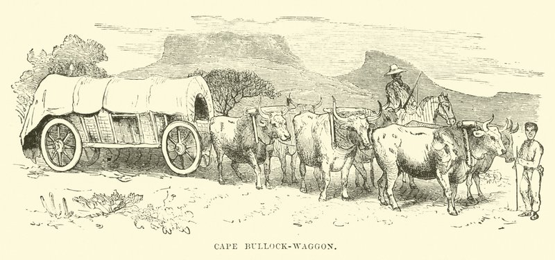 Cape Bullock-vaunu tekijältä English School