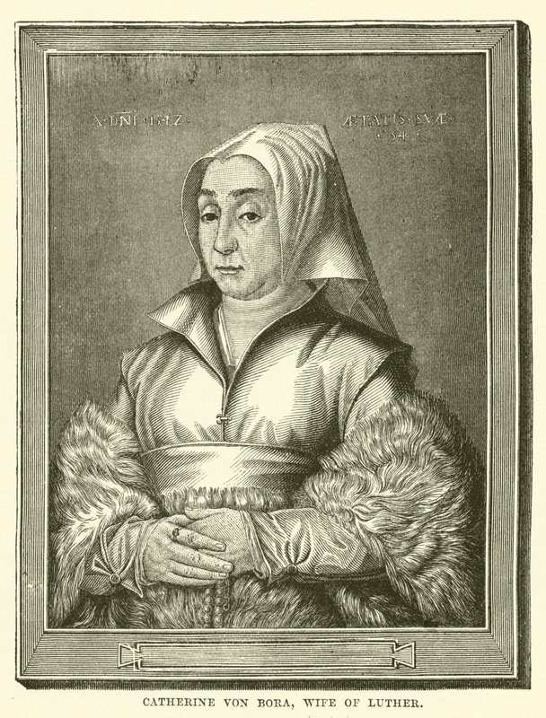 Catherine von Bora, Lutherin vaimo (kaiverrus) tekijältä English School