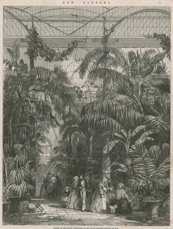 Suuren palmutalon keskus Kew