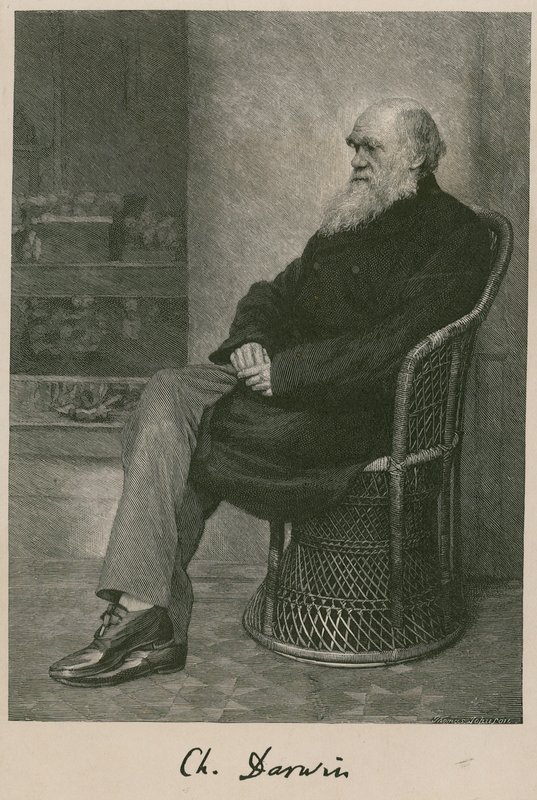 Charles darwin tekijältä English School