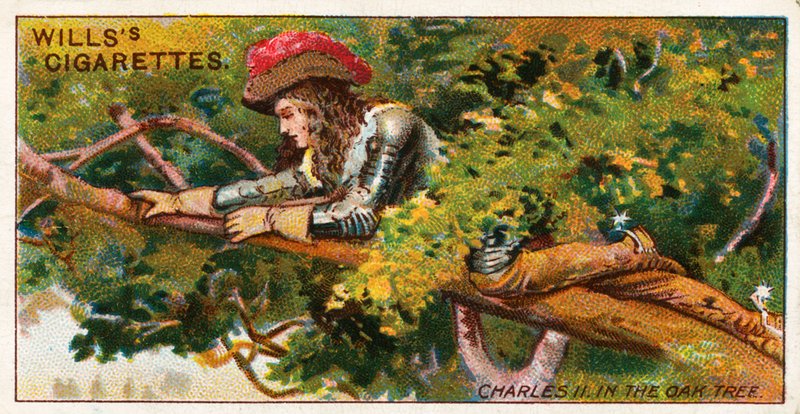 Kaarle II tammipuussa tekijältä English School