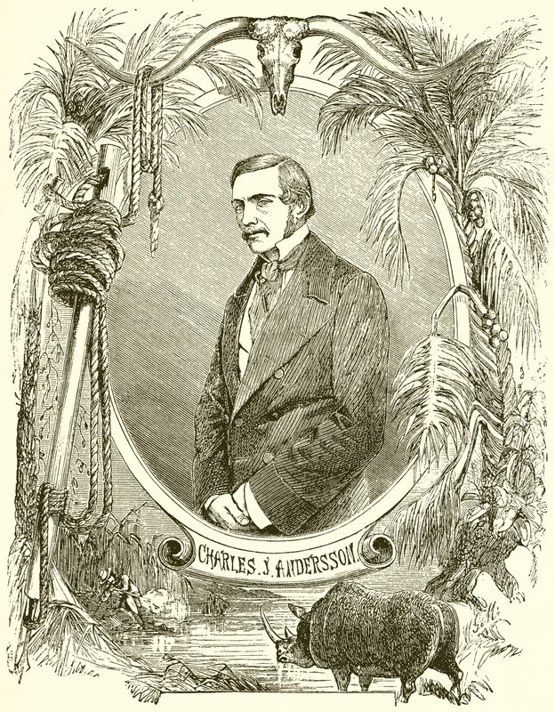 Charles J Anderson tekijältä English School