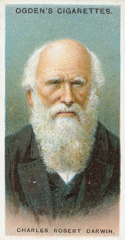 Charles Robert Darwin tekijältä English School