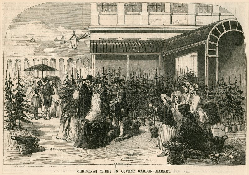Joulukuuset Covent Garden Marketissa Lontoossa tekijältä English School