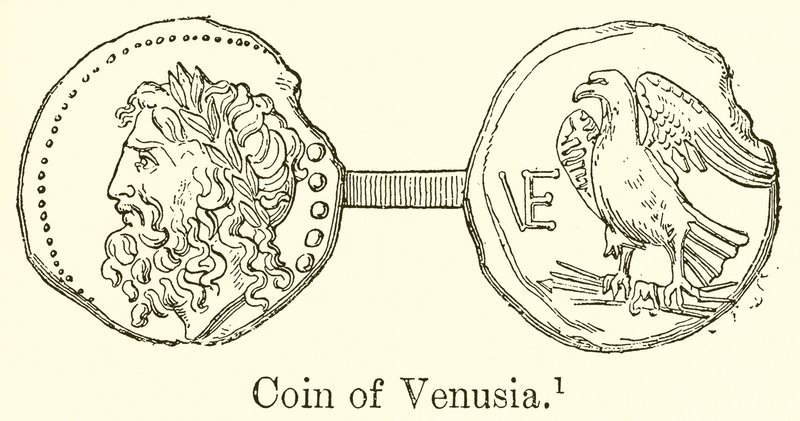 Venusian kolikko tekijältä English School