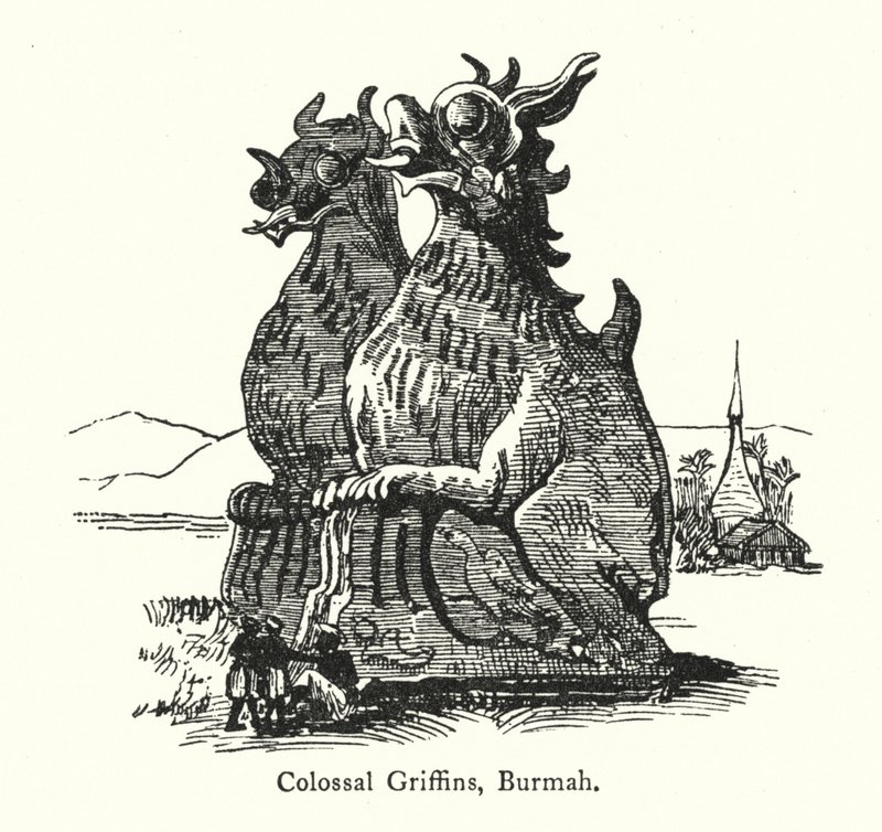 Colossal Griffins, Burmah (kaiverrus) tekijältä English School
