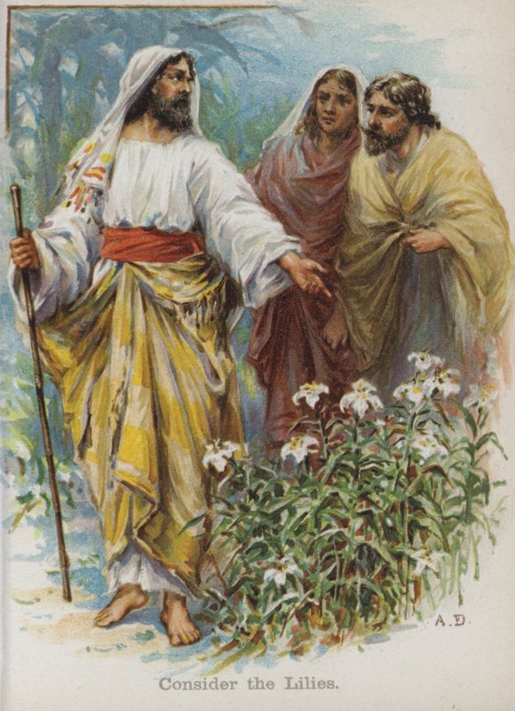 Harkitse liljoja (chromolitho) tekijältä English School