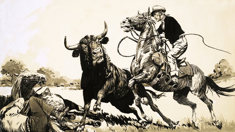 Cowboyt Australian takamailla yrittävät köytää härän tekijältä English School