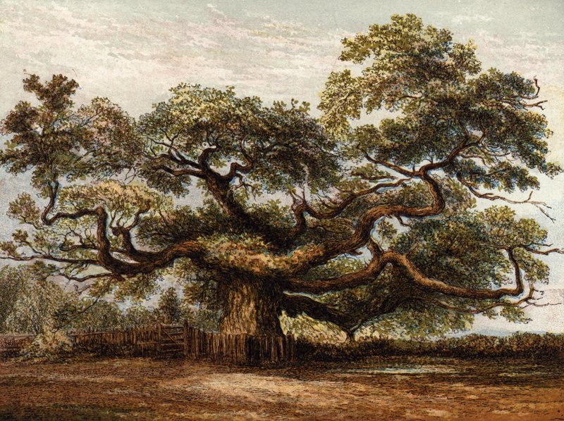 Crouch Oak, Addlestone tekijältä English School