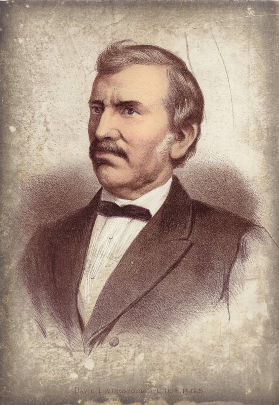 David Livingstone, tutkimusmatkailija tekijältä English School
