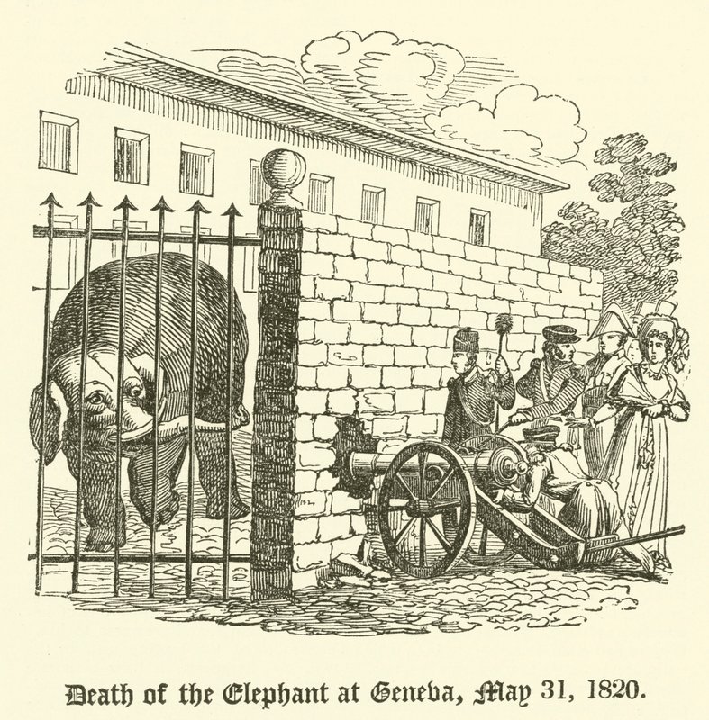 Elefantin kuolema Genevessä, 31. toukokuuta 1820 tekijältä English School