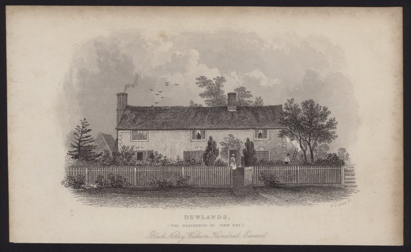 Dewlands, John Rayn asuinpaikka, Black Notley, Witham Hundred, Essex (kaiverrus). tekijältä English School