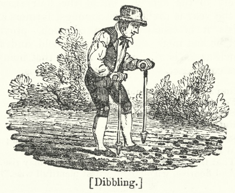 Dibbling tekijältä English School