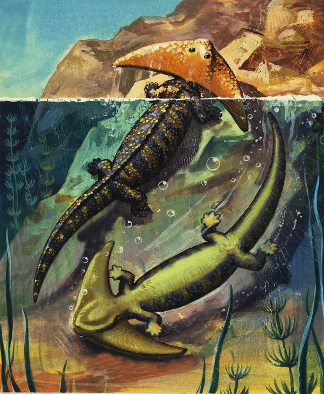 Diplocaulus tekijältä English School