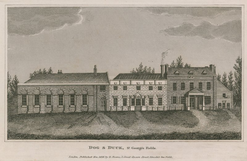 Koira ja ankka, St Georges Fields, Lambeth tekijältä English School