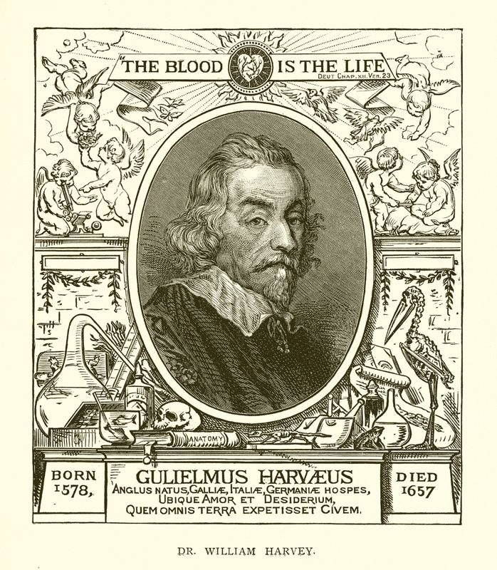 Tohtori William Harvey tekijältä English School
