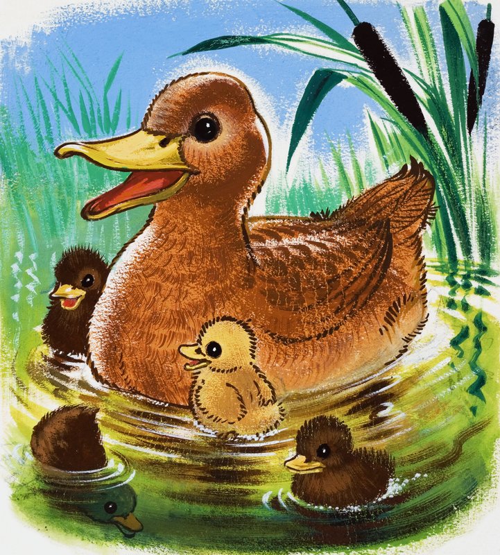 Ducksfinn tekijältä English School