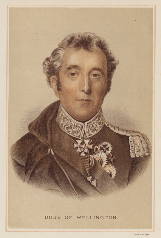 Duke of Wellington (väri litho) tekijältä English School