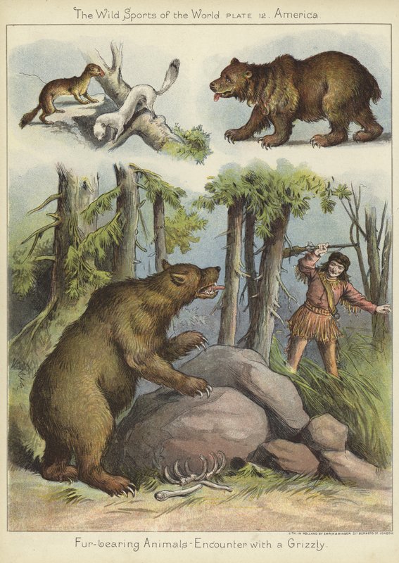 Tapaaminen grizzlyn kanssa tekijältä English School
