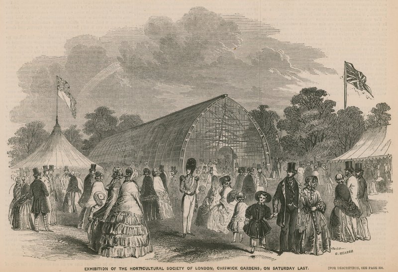 Lontoon Horticultural Societyn näyttely, Chiswick Gardens tekijältä English School