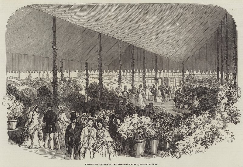 Royal Botanic Societyn näyttely, Regent
