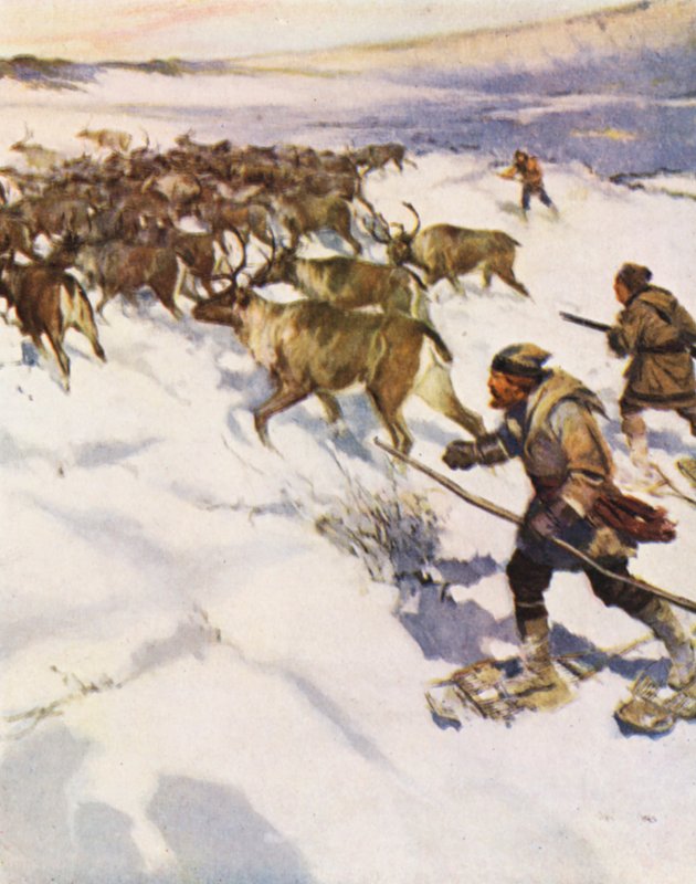Tekijä John McLean kerää karibulaumaa Labradorissa Hudson