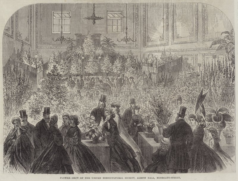 United Horticultural Societyn kukkaesitys, Albion Hall, Moorgate-Street (kaiverrus) tekijältä English School