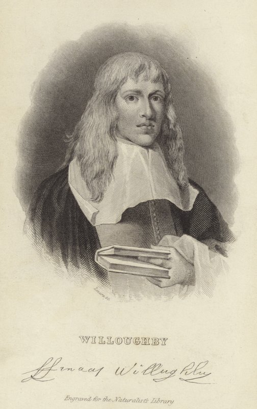 Francis Willughby tekijältä English School