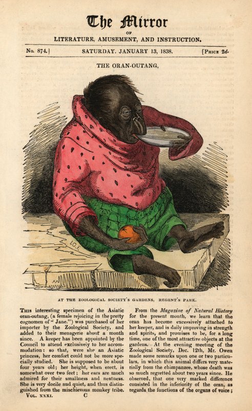 The Mirrorin etusivu 13. tammikuuta 1838 ja juhlii orangutanin saapumista Zoological Societyn puutarhaan Regent