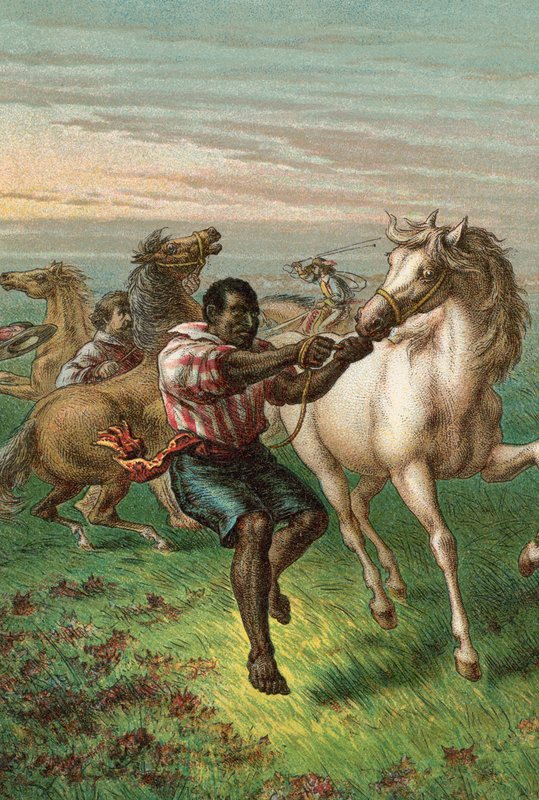 Garibaldin sotilaat murtavat villihevosia tekijältä English School