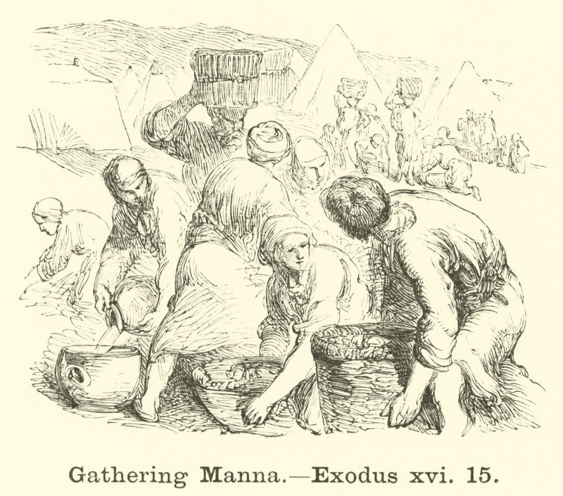 Gathering Manna, Exodus, xvi, 15 tekijältä English School