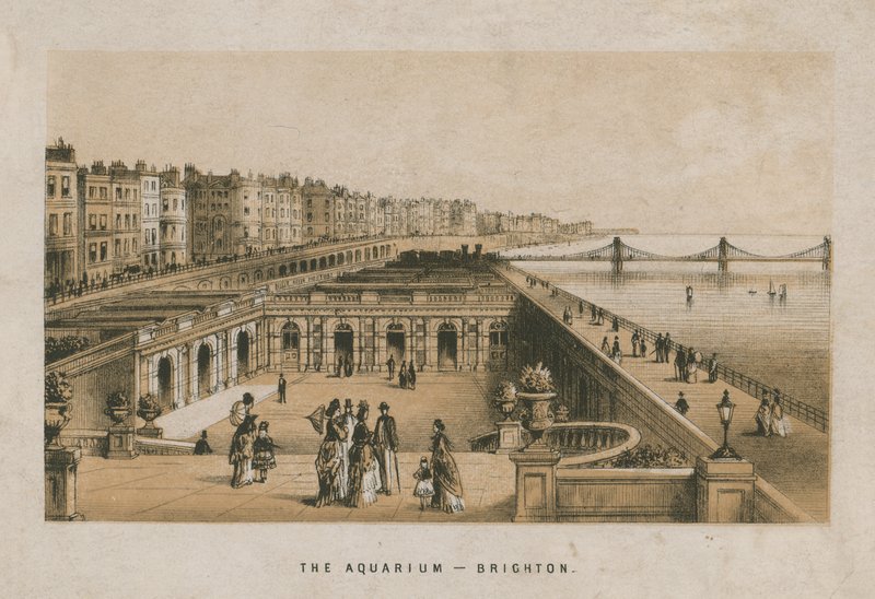 Yleisnäkymä Brightonin akvaariosta tekijältä English School