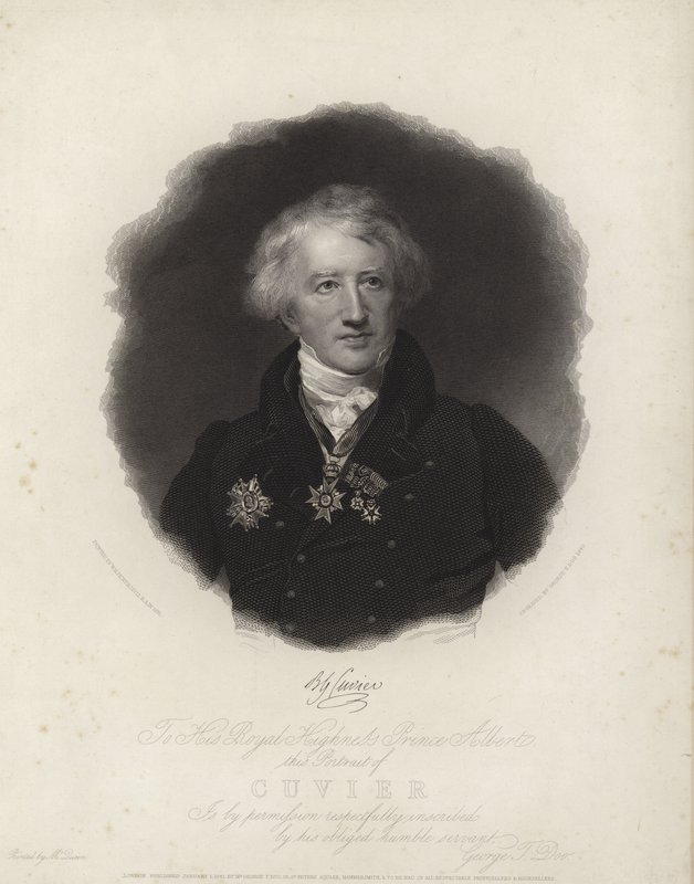 George Cuvier tekijältä English School