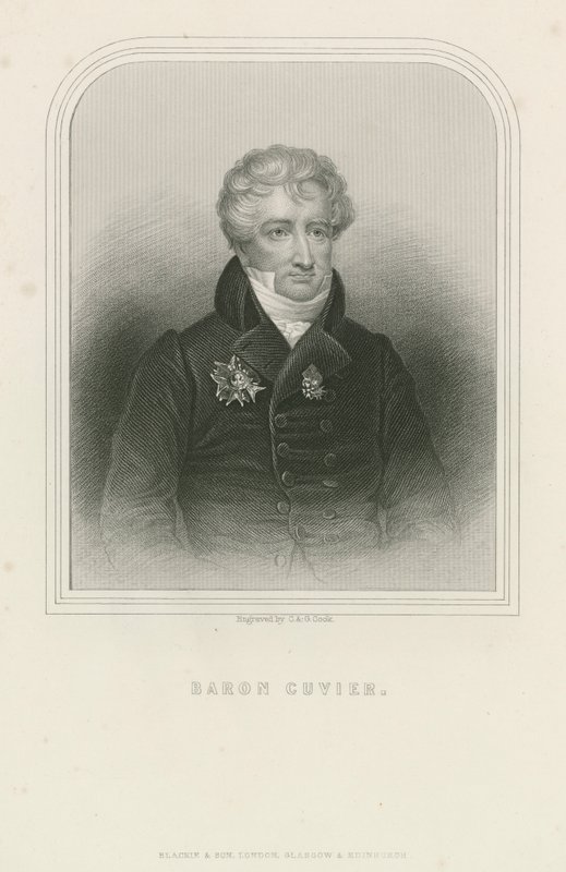 Georges Cuvier, ranskalainen luonnontieteilijä ja eläintieteilijä (kaiverrus) tekijältä English School