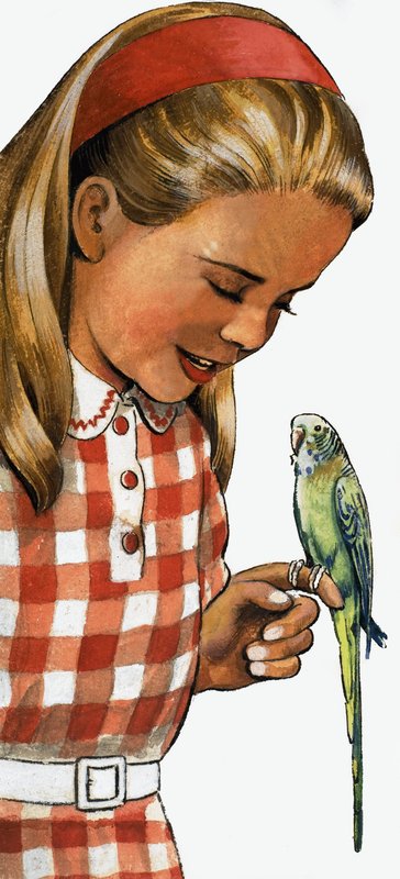 Tyttö budgerigarilla tekijältä English School