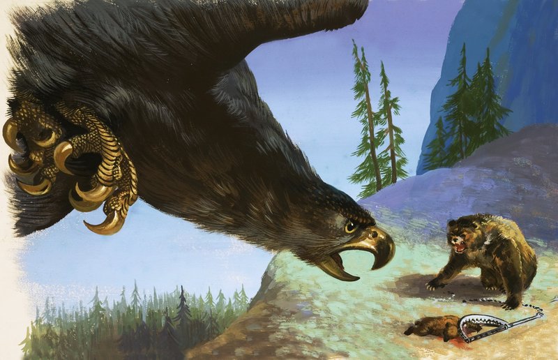 Golden Eagle hyökkää karhun kimppuun ansassa olevan eläimen kimppuun tekijältä English School