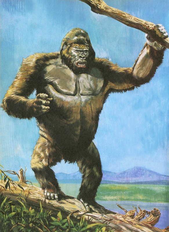 Gorilla tekijältä English School