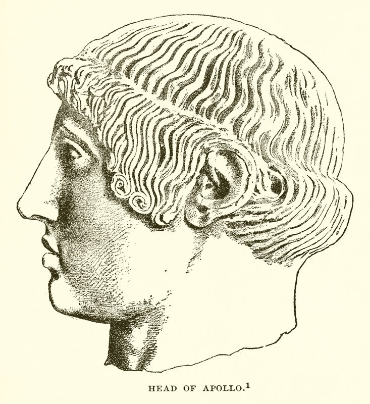 Apollon johtaja tekijältä English School