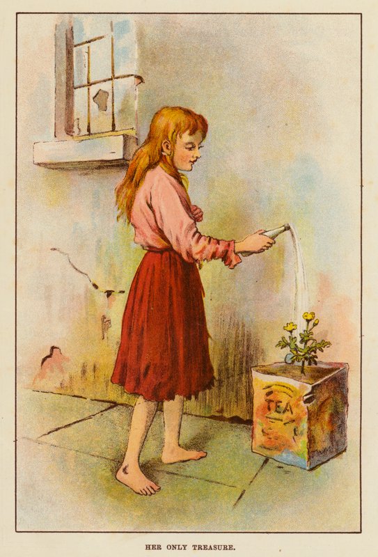 Hänen ainoa aarrensa (väri litho) tekijältä English School